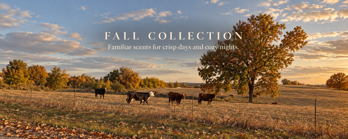 Fall