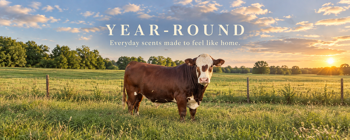 Year-Round